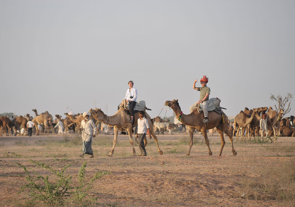 Nagaur Camp